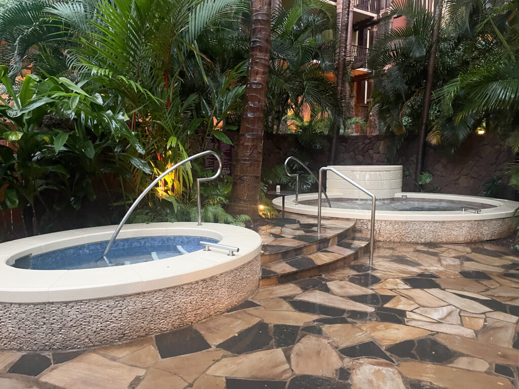 Laniwai_Cold Plunge Laniwai Spa at Disney's Aulani Cold Plunge