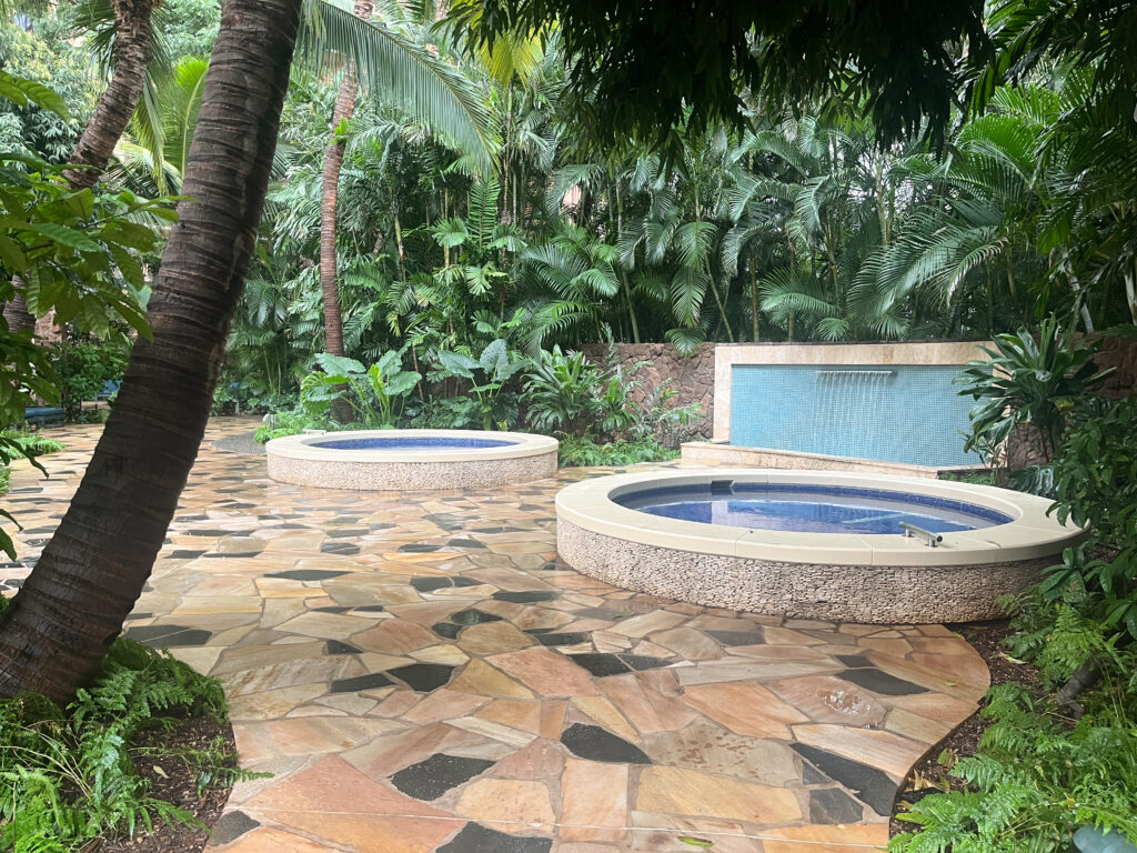 Laniwai_Vitality Pools Laniwai Spa at Disney's Aulani Vitality Pools